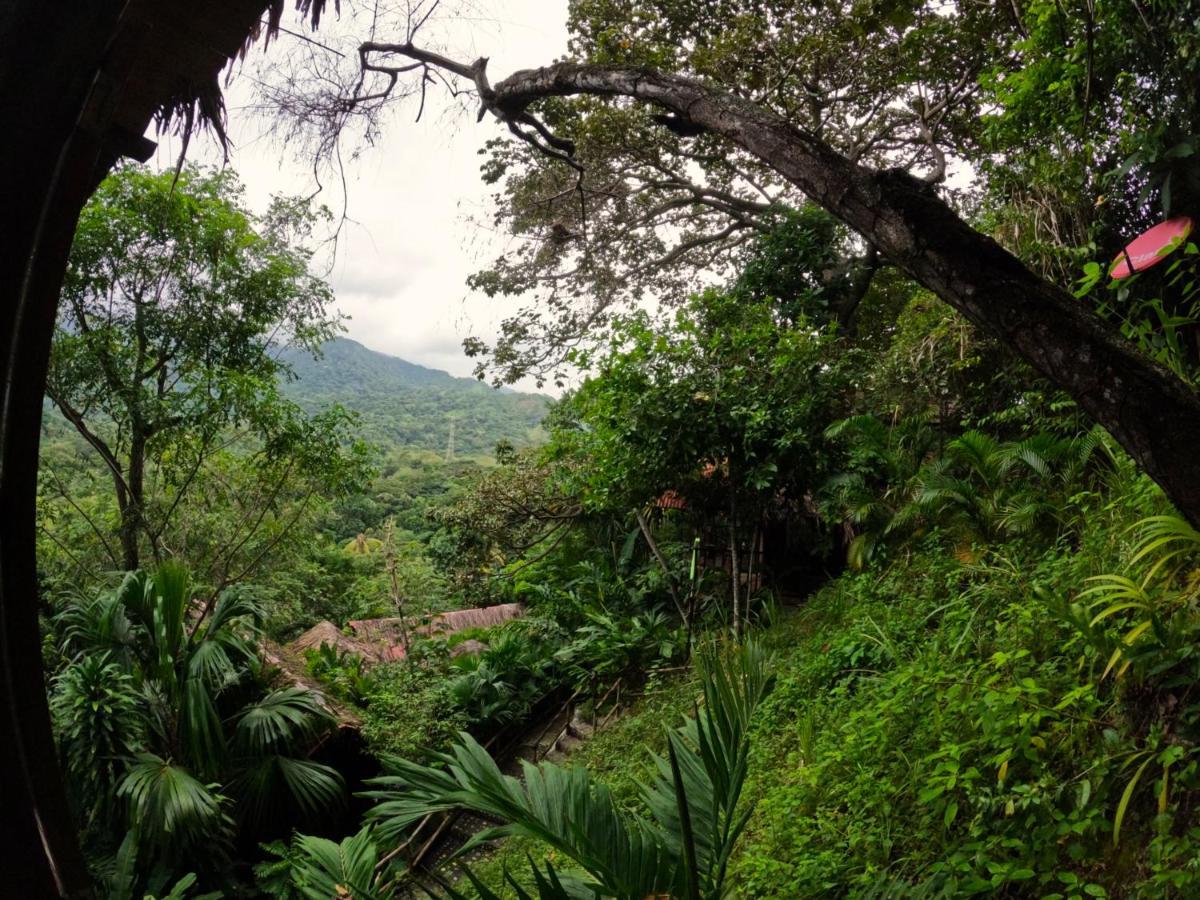 Ecohostal Rio Piedra El Zaino Εξωτερικό φωτογραφία