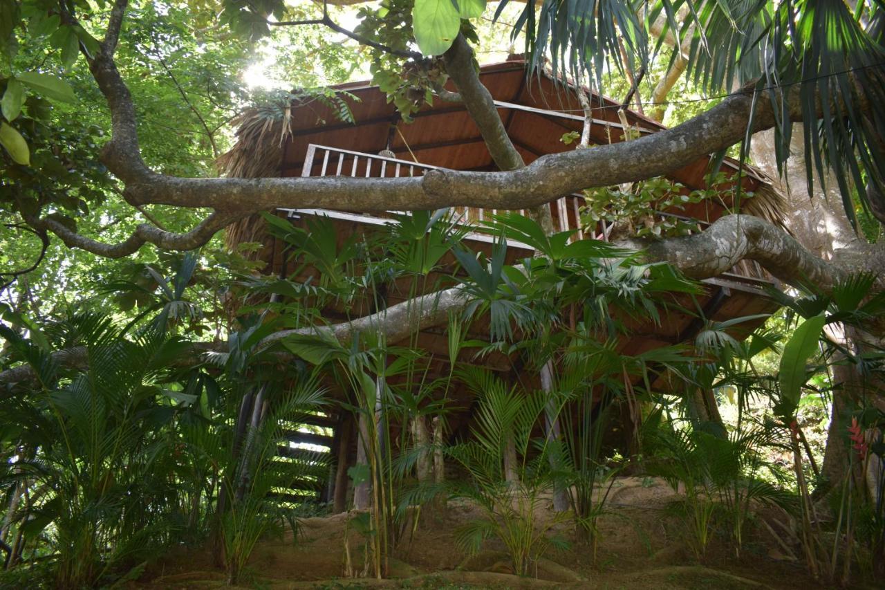 Ecohostal Rio Piedra El Zaino Εξωτερικό φωτογραφία