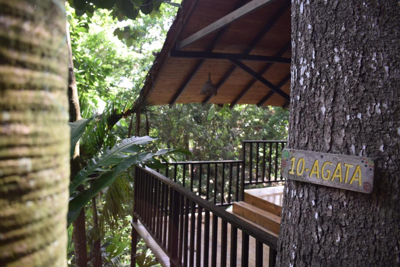 Ecohostal Rio Piedra El Zaino Εξωτερικό φωτογραφία