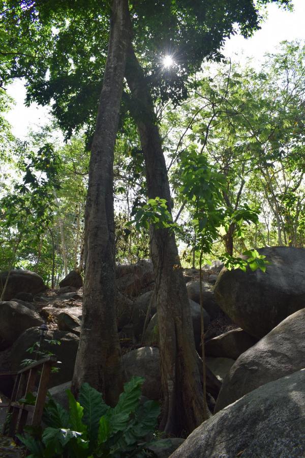 Ecohostal Rio Piedra El Zaino Εξωτερικό φωτογραφία