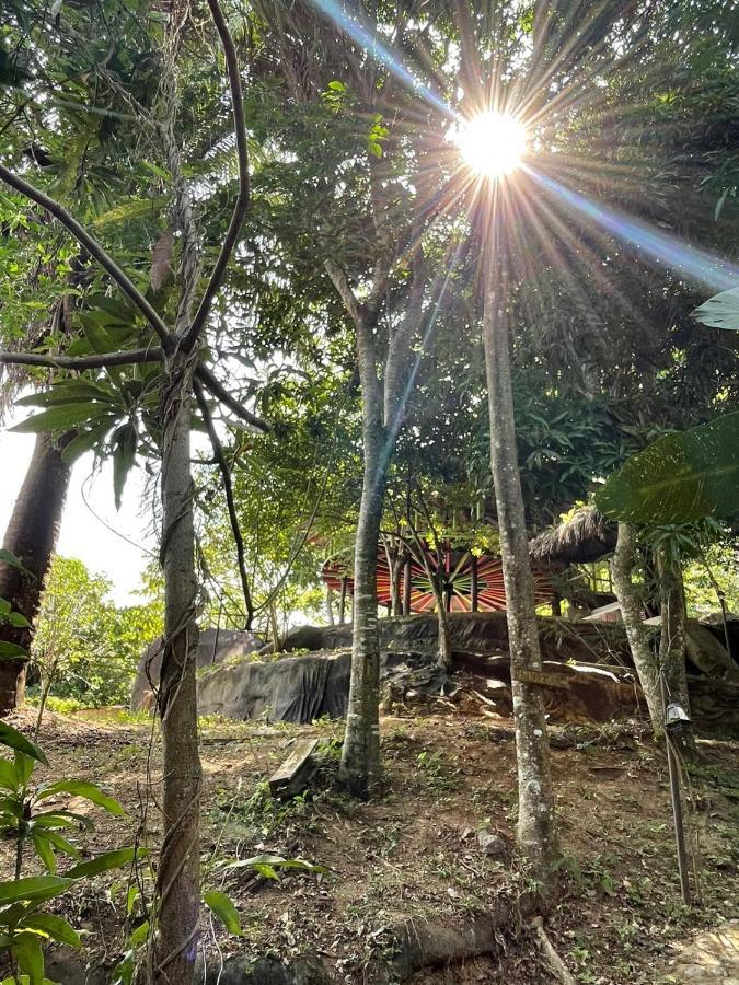 Ecohostal Rio Piedra El Zaino Εξωτερικό φωτογραφία