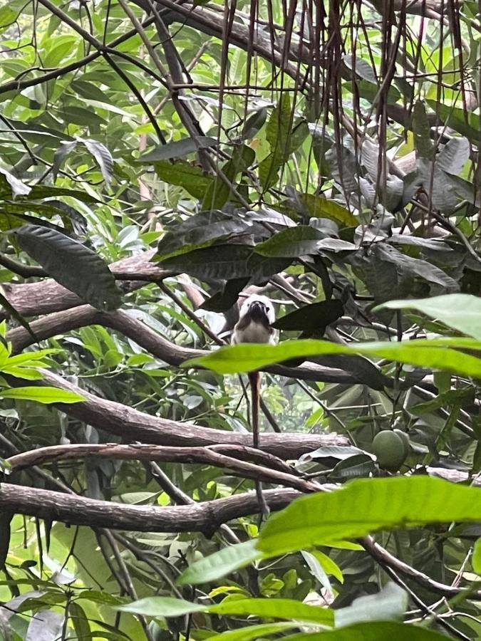 Ecohostal Rio Piedra El Zaino Εξωτερικό φωτογραφία